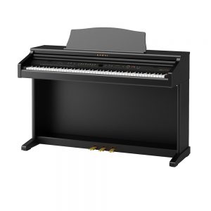 CE220 Digital Piano Houston